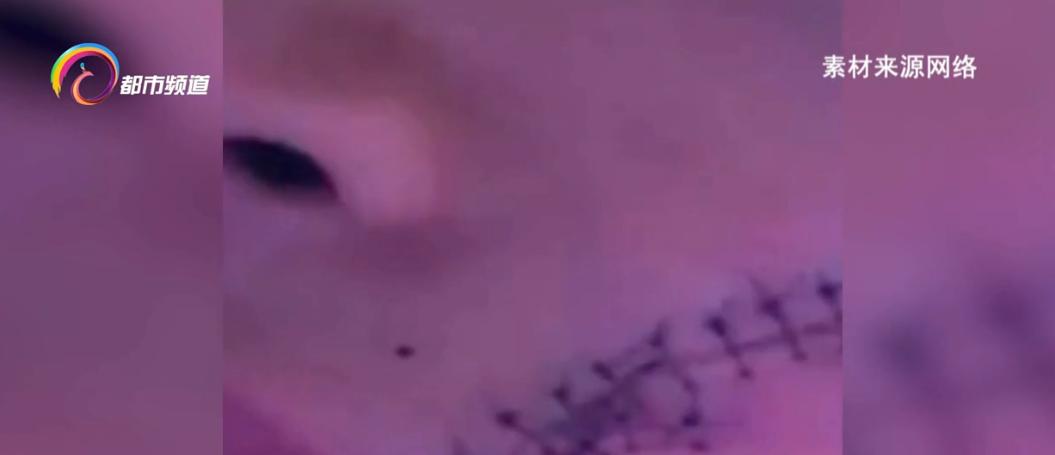 DƬ